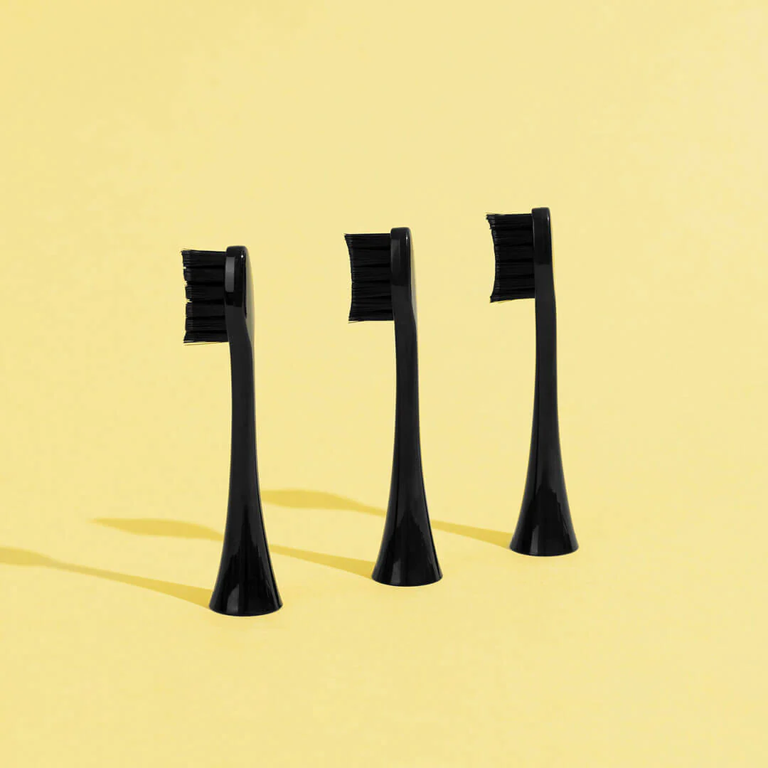 Pack 3 Têtes de Brosse - Image 3