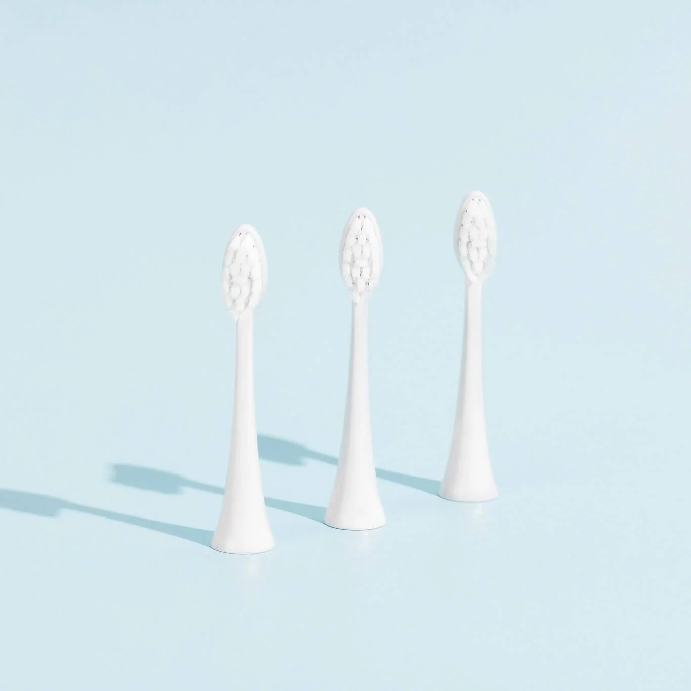 Pack 3 Têtes de Brosse - Image 6