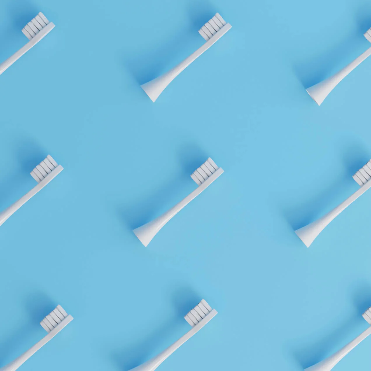 Têtes de Brosse (abonnement) - Image 3